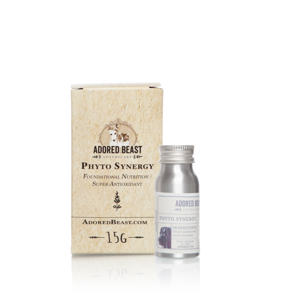 Phyto Synergy (Super Antioxidant)