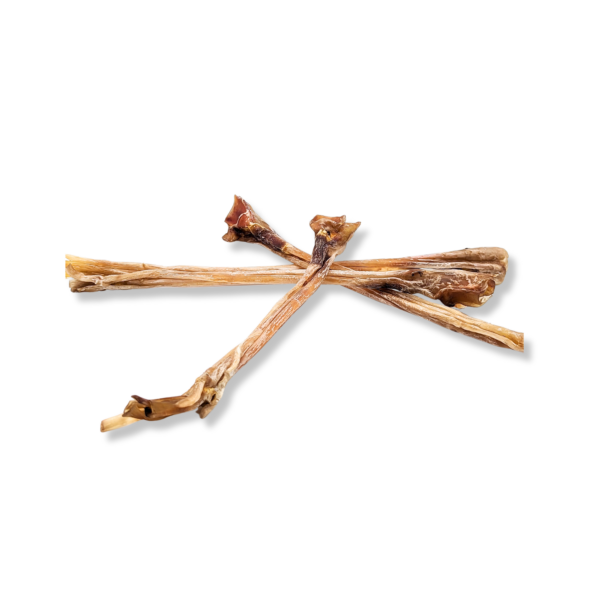 Ostrich Long Tendon (1 pc.)