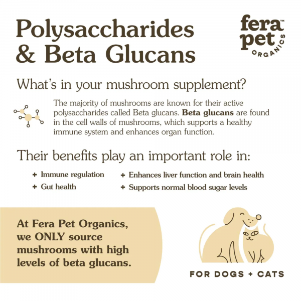 Organic Mushroom Blend for Immune Support