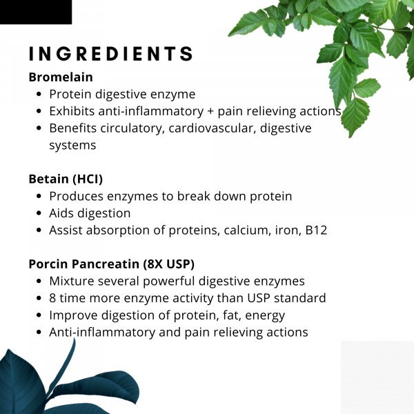 Healthy Gut Pre & Probiotic (Digestive Support)