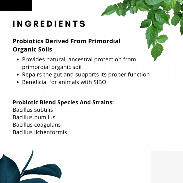 Soil & Sea | Soil Based Pre & Probiotics