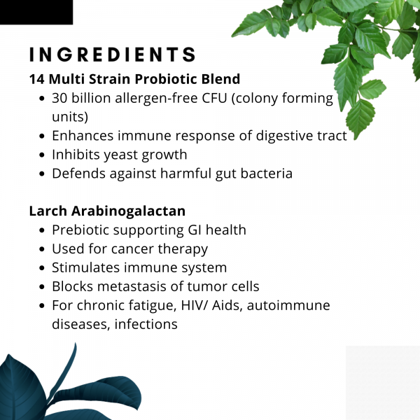 Love Bugs Pre & Probiotic (Basic)