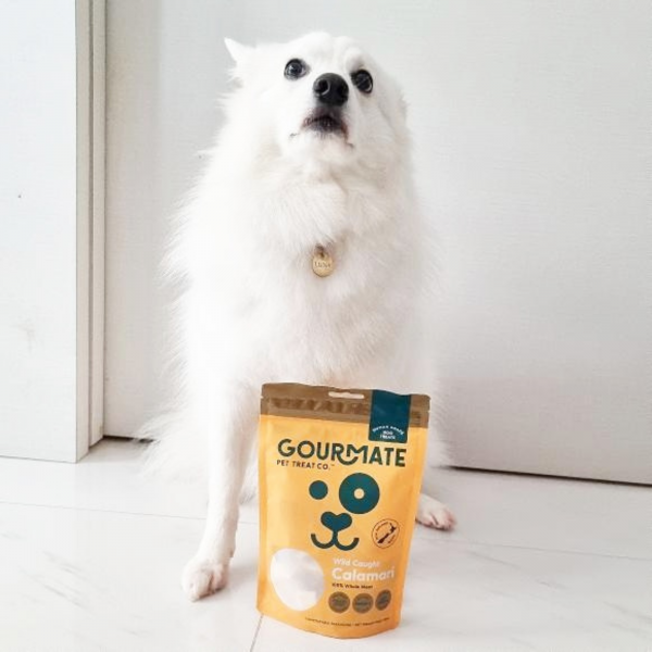 Freeze-Dried Wild Caught Calamari