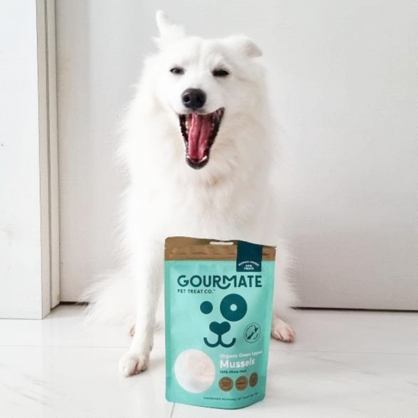 Freeze-Dried Organic Green Lipped Mussels