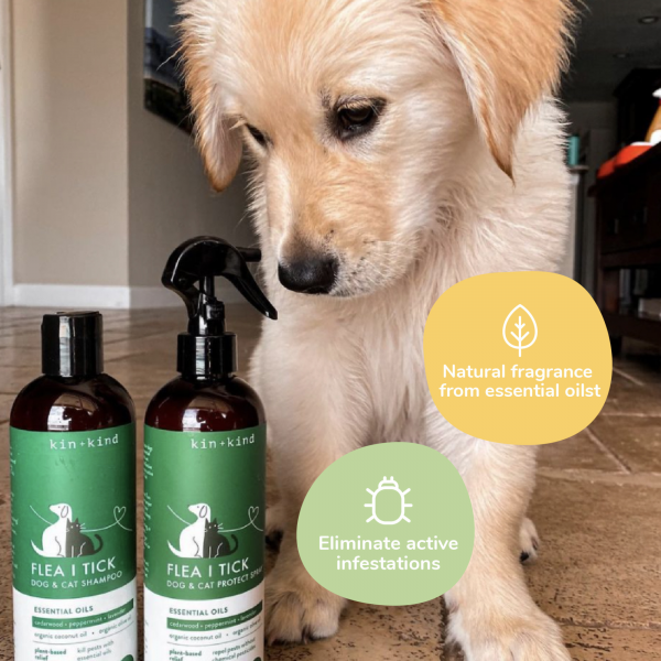 Natural Flea & Tick Shampoo (Lavender)