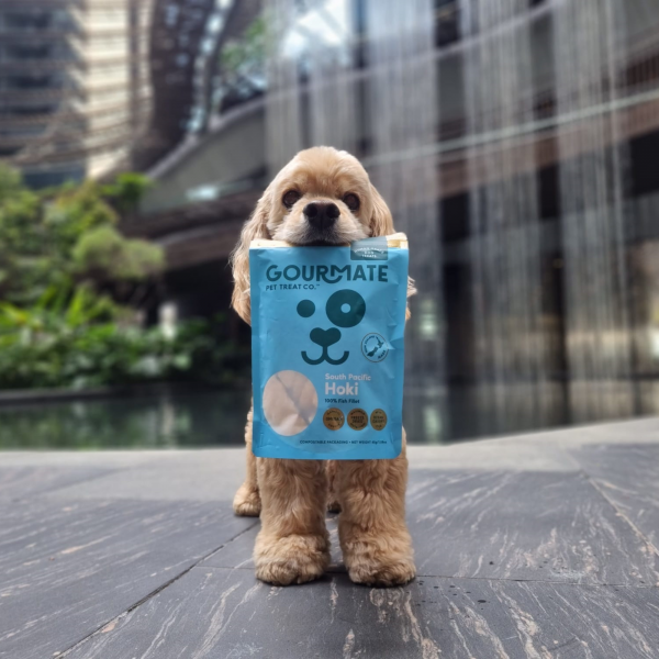 Freeze-Dried South Pacific Hoki