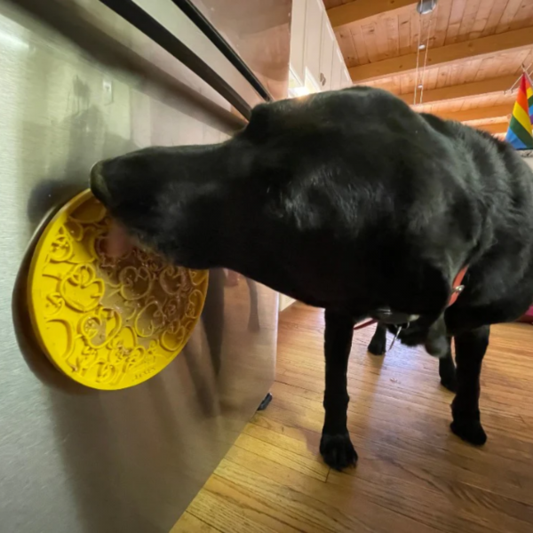 Duckies Enrichment Lick Mat (With Suction Cups)