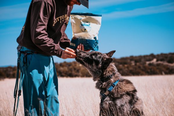 Lamb Protein Bites (Freeze Dried, Gut Boost)