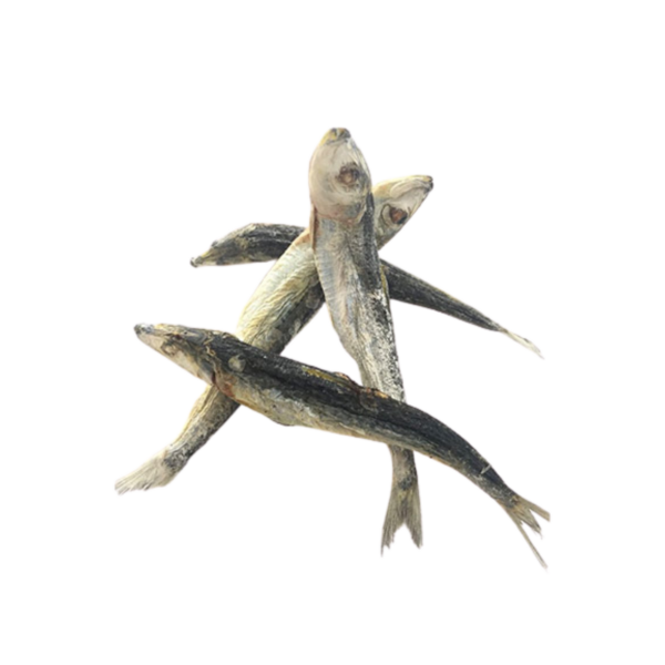 Freeze Dried Sardine