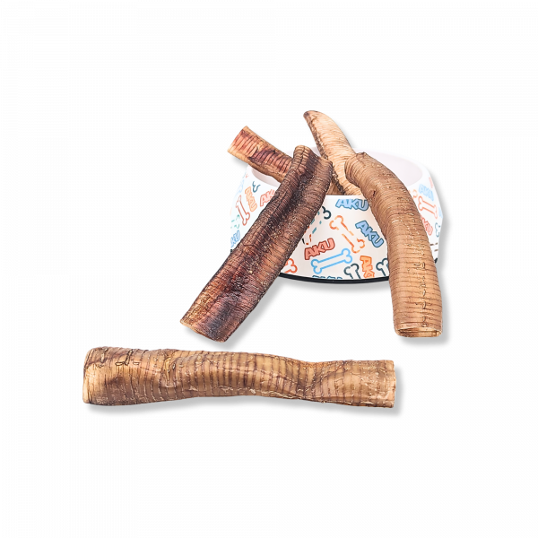 Ostrich Wind Pipe (Trachea)