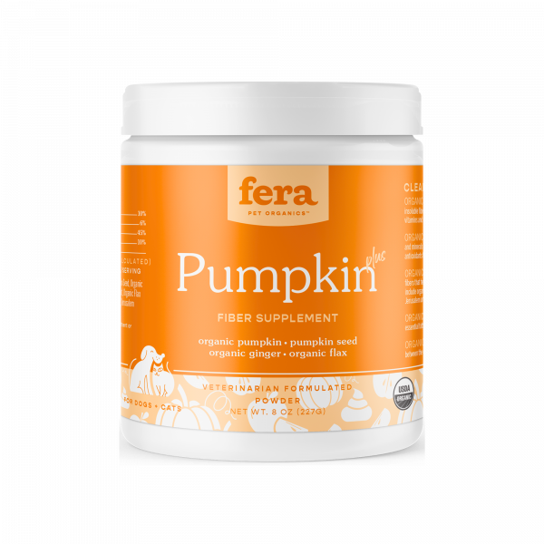 Organic Pumpkin Plus for Gut Support