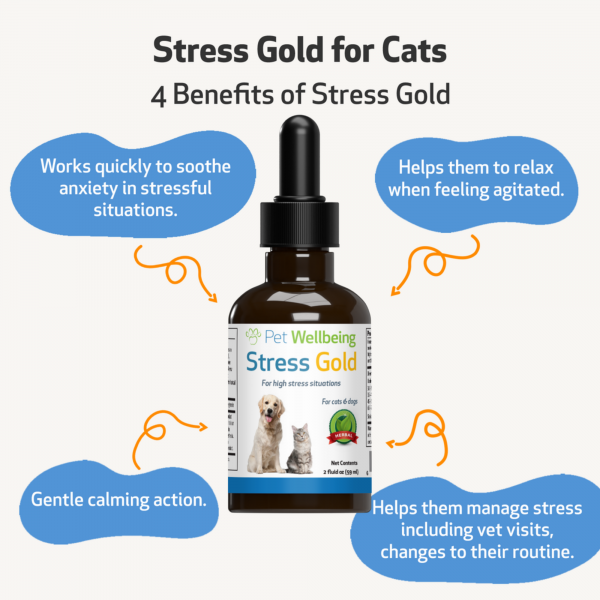 Stress Gold (High Stress Situations) - Cats