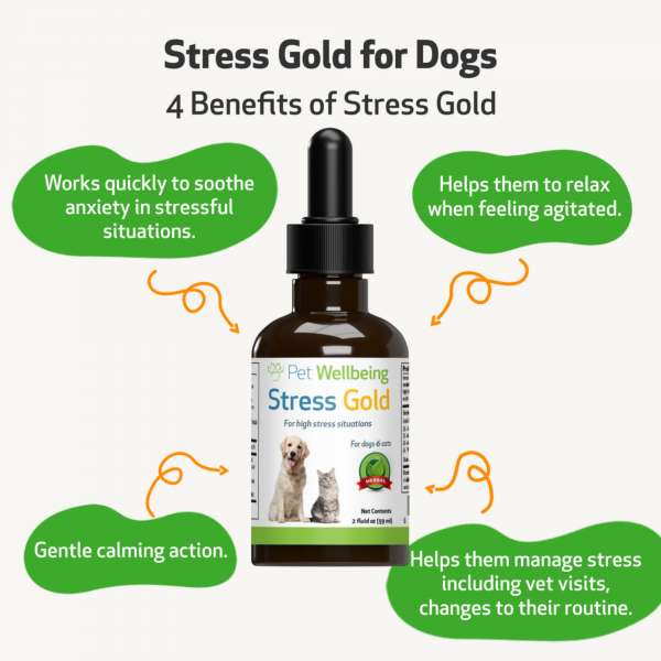 Stress Gold (High Stress Situations) - Dogs