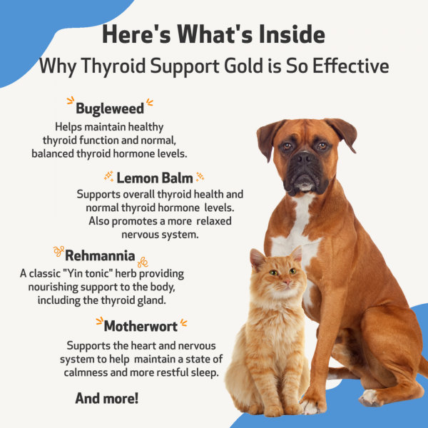 Thyroid Support Gold (Hyperthyroid) - Dogs