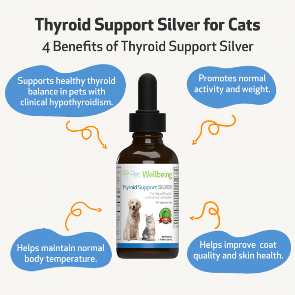 Thyroid Support Silver (Hypothyroid) - Cats