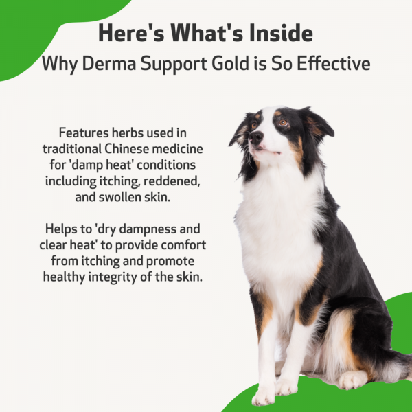 Derma Support Gold (Healthy Coat, Odor & Itching) - Dogs