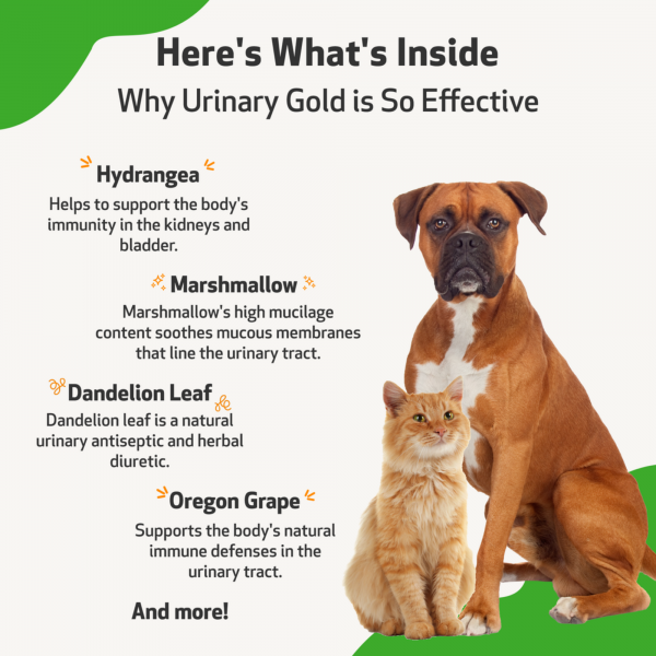Urinary Gold (Urinary Tract Health) - Cats