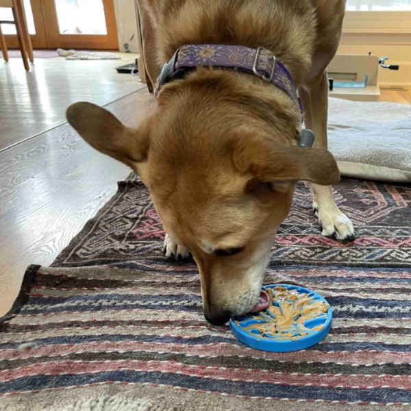 Air Nylon Enrichment Coin