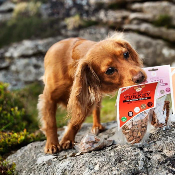 Pure Turkey Training Treats