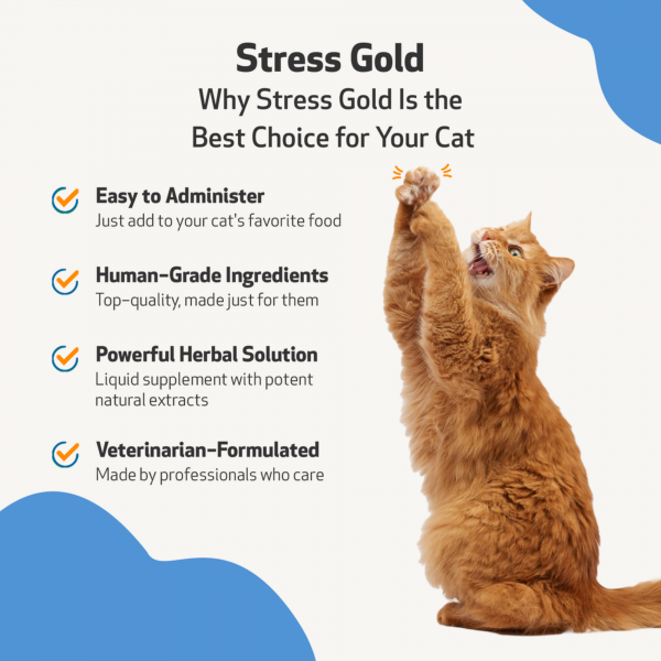 Stress Gold (High Stress Situations) - Cats