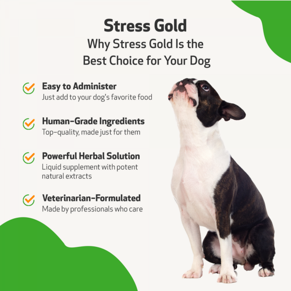 Stress Gold (High Stress Situations) - Dogs