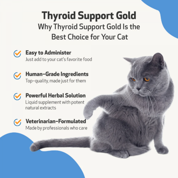 Thyroid Support Gold (Hyperthyroid) - Dogs