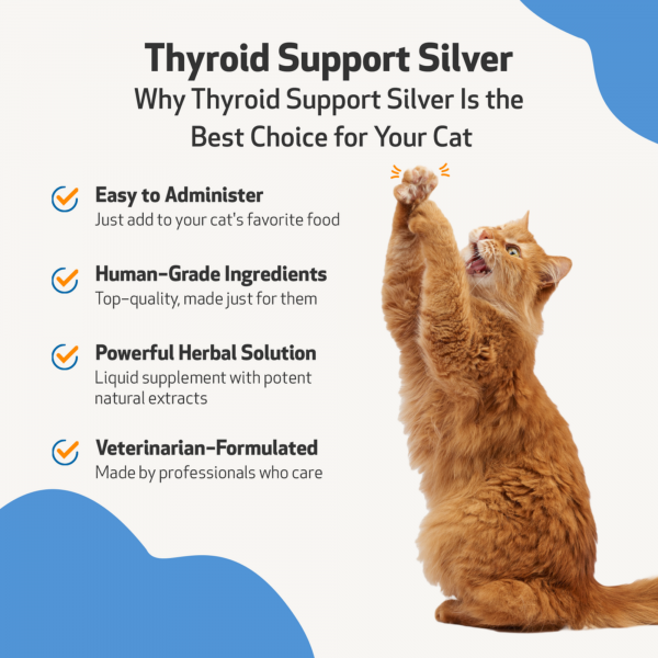 Thyroid Support Silver (Hypothyroid) - Cats