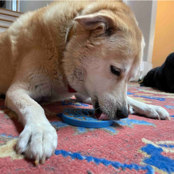 Air Nylon Enrichment Coin