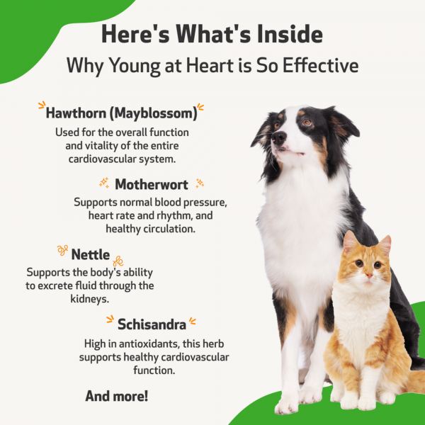 Young at Heart (Healthy Heart) - Dogs