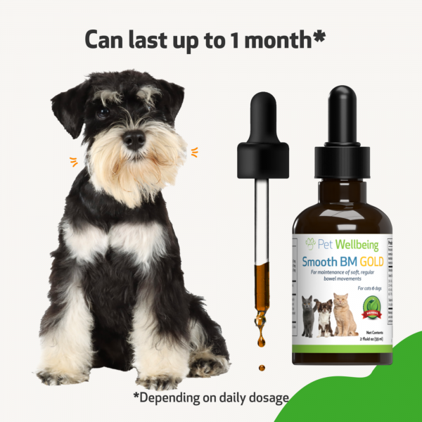 Smooth BM Gold (Constipation) - Dogs