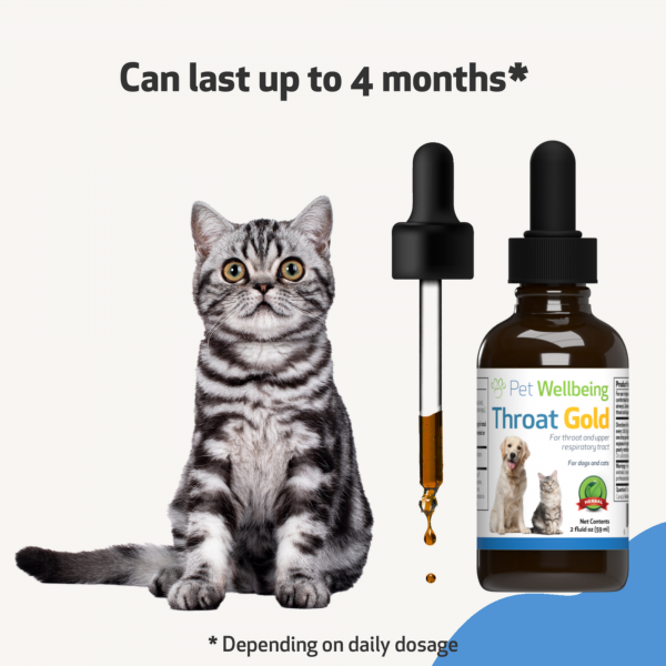 Throat Gold (Soothes Throat Irritation) - Cats