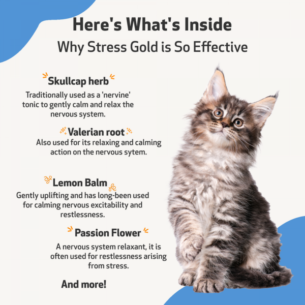 Stress Gold (High Stress Situations) - Cats