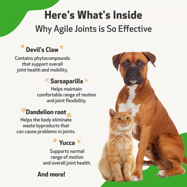 Agile Joints (Joint Mobility) - Cats