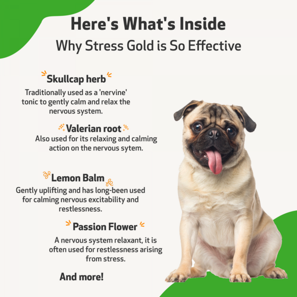 Stress Gold (High Stress Situations) - Dogs