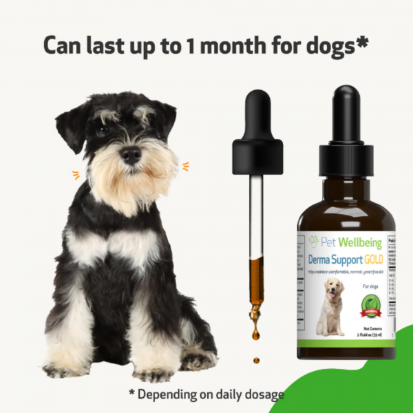 Derma Support Gold (Healthy Coat, Odor & Itching) - Dogs