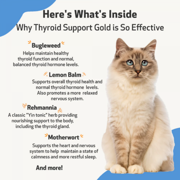 Thyroid Support Gold (Hyperthyroid) - Cats
