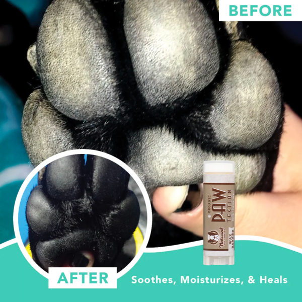 PawTection Travel Stick