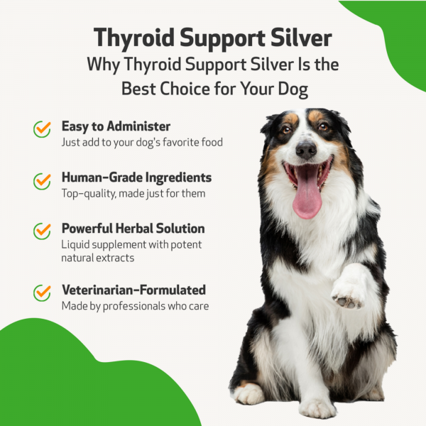 Thyroid Support Silver (Hypothyroid) - Dogs