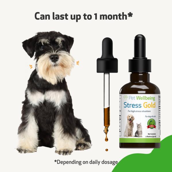 Stress Gold (High Stress Situations) - Dogs