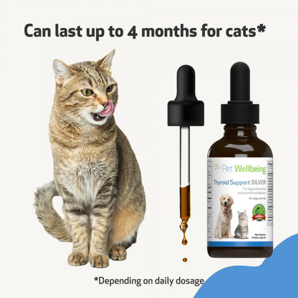 Thyroid Support Silver (Hypothyroid) - Cats