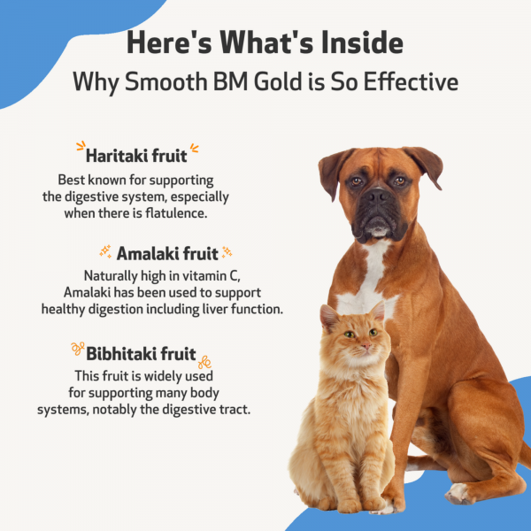 Smooth BM Gold (Constipation) - Cats