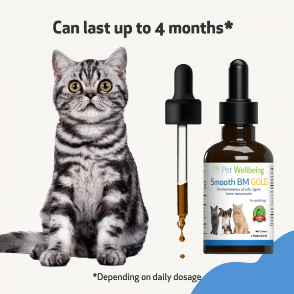 Smooth BM Gold (Constipation) - Cats