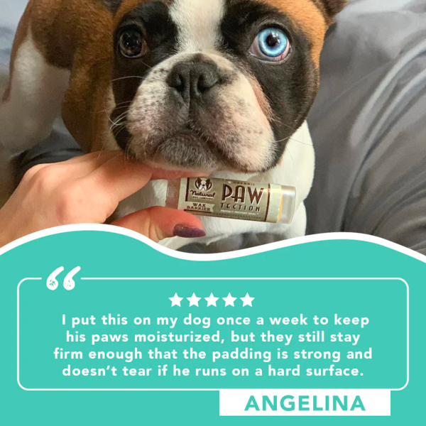 PawTection Travel Stick