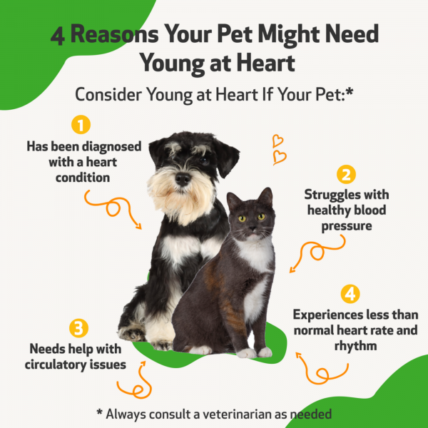 Young at Heart (Healthy Heart) - Cats