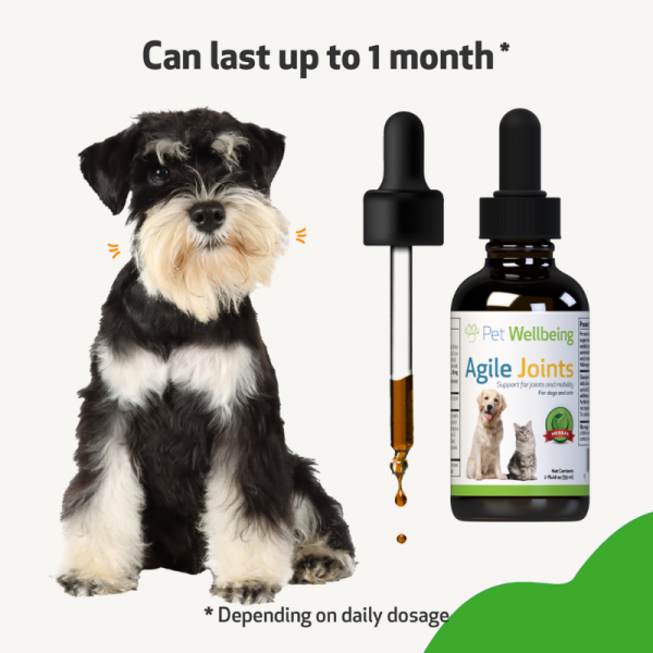 Agile Joints (Joint Mobility) - Dogs