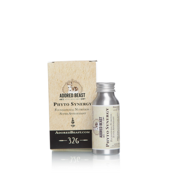 Phyto Synergy (Super Antioxidant)