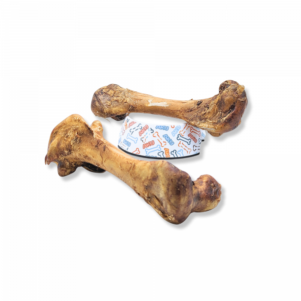 Ostrich Premium Giant Bone