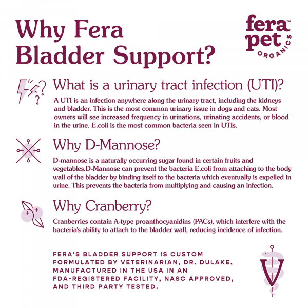 Bladder Support Supplement