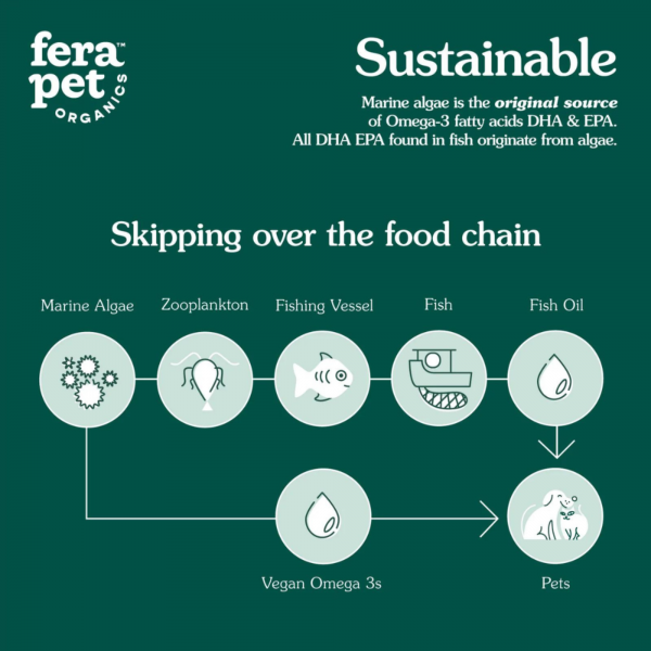 Vegan Omega-3s Algae Oil