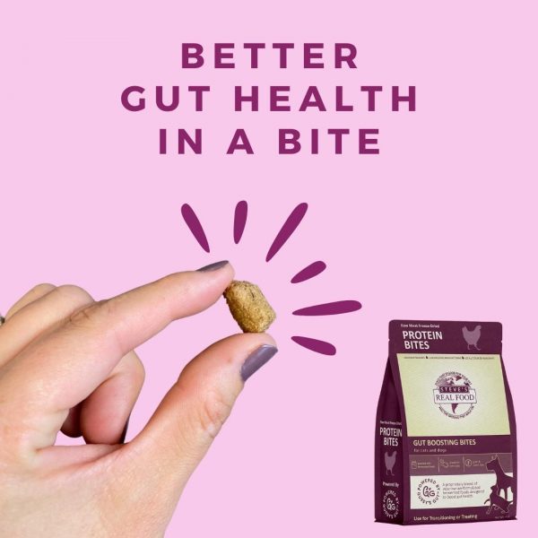 Chicken Protein Bites (Freeze Dried, Gut Boost)